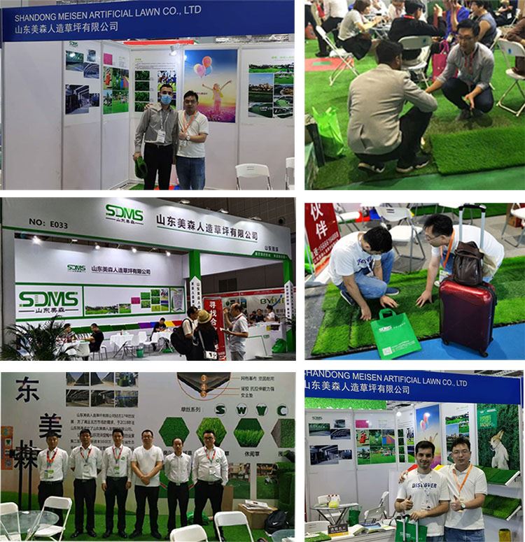 SDMS exhibition