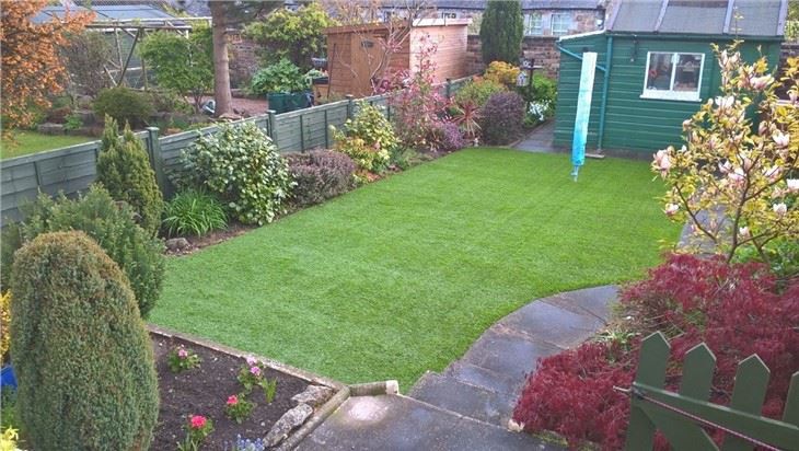 garden grass7