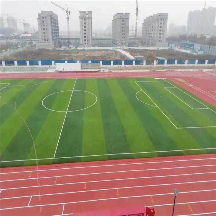 Runway Used Artificial Grass