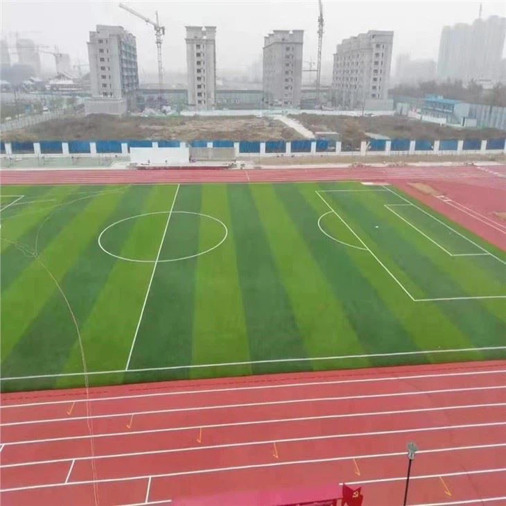 Runway Used Artificial Grass