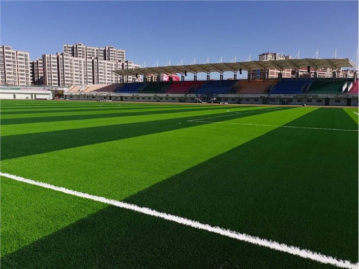 Runway Used Artificial Grass